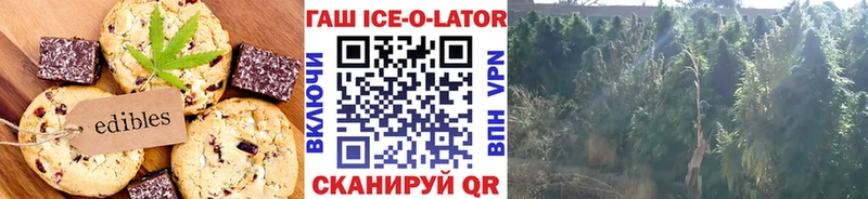 Еда ТГК конопля  Купить закладки  Гулькевичи 