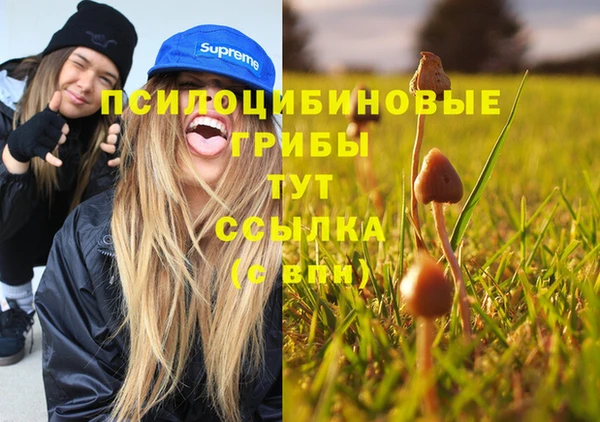 сатива Балабаново
