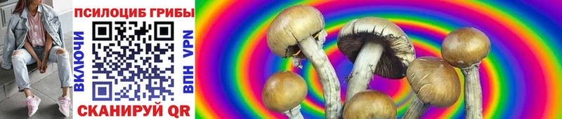 Купить закладки  Гулькевичи  Псилоцибиновые грибы Magic Shrooms 